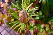 DSCF8627_R