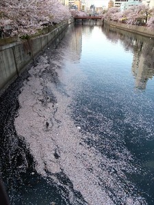 DSCF8489_R