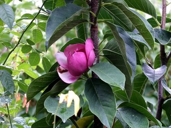 DSCF8946_R
