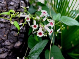 DSCF9037_R