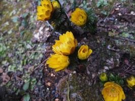 DSCF6994_R