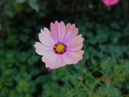 DSCF5450_R