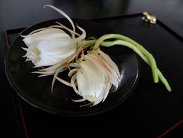 DSCF3834_R