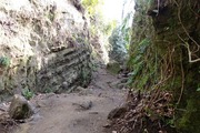 DSCF9504_R