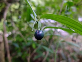 DSCF4403_R