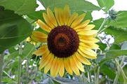 DSCF5563_R