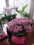 DSCF1776_R