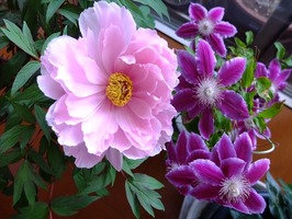 DSCF2185_R