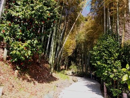 DSCF1198_R