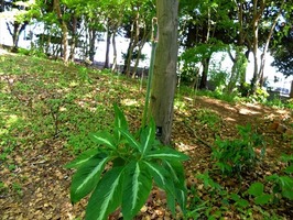 DSCF2158_R