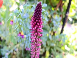 DSCF8189_R