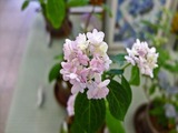 DSCF7814_R