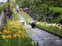 DSCF4931_R