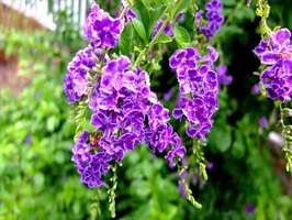 DSCF9002_R