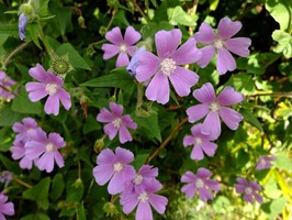 DSCF5667_R
