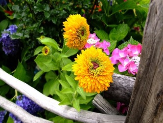 DSCF8602_R