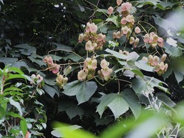 DSCF4272_R