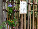 DSCF8284_R