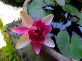 DSCF3676_R