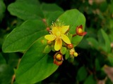DSCF8351_R