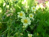 DSCF7781_R