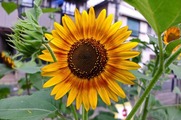 DSCF5564_R