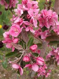 DSCF1329_R