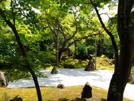 DSCF8804_R