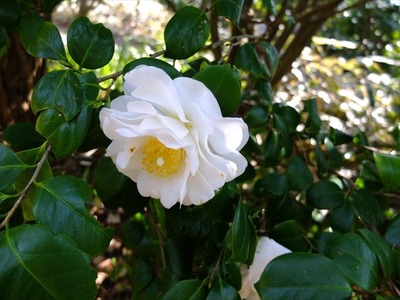 DSCF7610_R