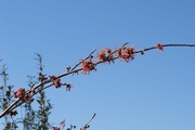 DSCF9633_R