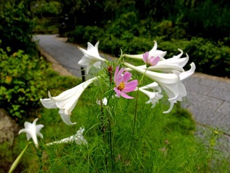 DSCF4436_R