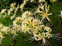 DSCF4964_R