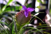DSCF7485_R