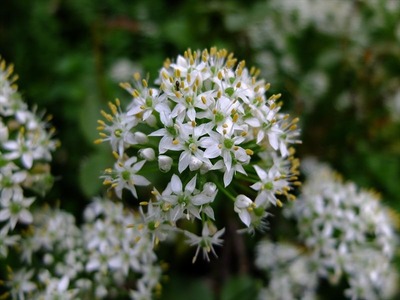 DSCF4806_R
