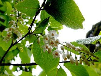 DSCF9017_R