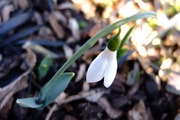 DSCF9628_R