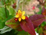 DSCF8056_R