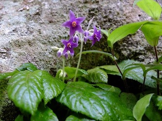 DSCF8304_R