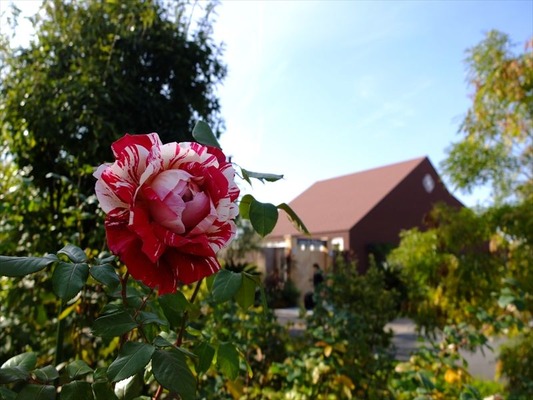DSCF5947_R