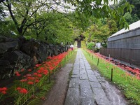 DSCF4876_R