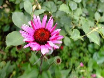 DSCF8620_R