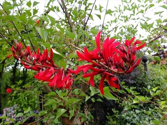 DSCF8621_R