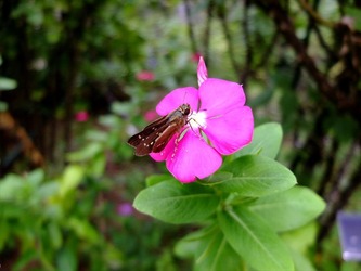 DSCF4546_R