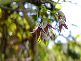 DSCF2109_R
