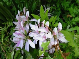 DSCF1839_R