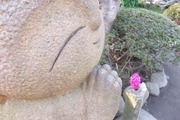 DSCF9577_R