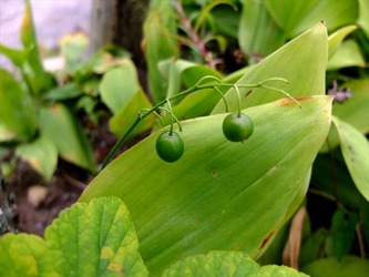 DSCF4419_R