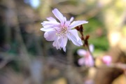 DSCF9438_R