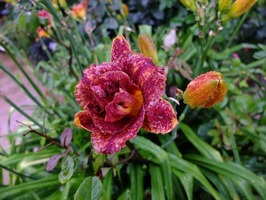 DSCF3647_R