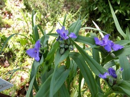 DSCF2121_R